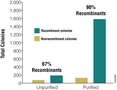 Puriﬁcation of PCR products enhances cloning success.