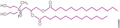 Structure of the TransFast™ cationic lipid.