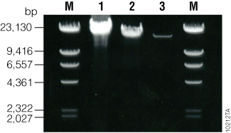 10212TA_325px