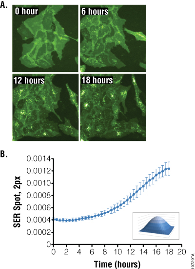 10739TA_400px