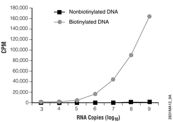 Scintillation counting results plotted as the log of RNA copies versus counts per minute (cpm) for the amplification products shown in Figure 1.
