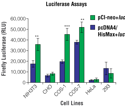 Relative levels of luciferase expression for pCI-neo+luc and pcDNA4/HisMax+luc in different cell lines.