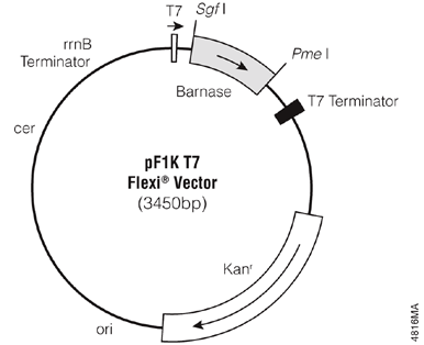 pF1K T7 Flexi Vector.