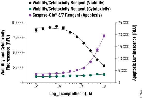 Cytostasis results using the ApoTox-Glo Triplex Assay protocol.