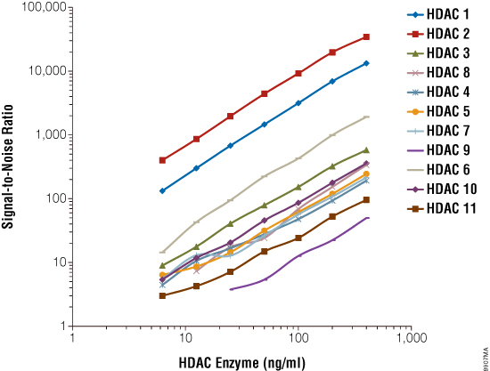 Broad linearity with HDAC Class I and II enzymes.