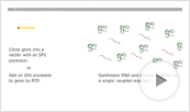 TNT High Yield System Animation Thumbnail