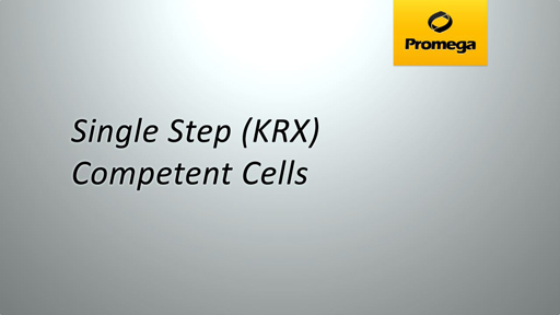 Single Step KRX Competent Cells Animation