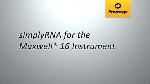 simplyRNA