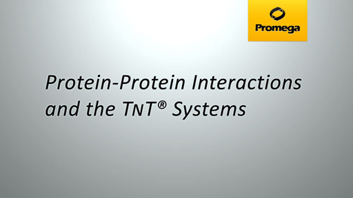 Protein Protein Interactions and TNT Systems Animation