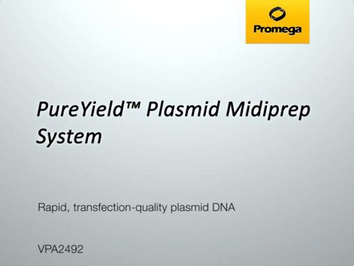 PureYield Plasmid Midiprep System Video