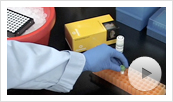 GoTaq qPCR Master Mix Video Thumbnail