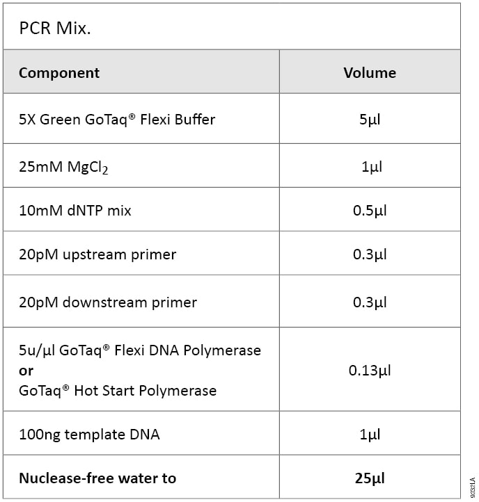PCR Mix.
