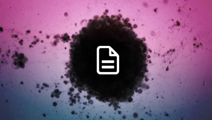 Luminescent Viability Assays for Magnetically Bioprinted Hepatocyte Spheroids