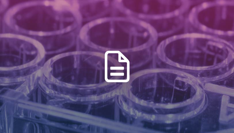 Screening of Cytochrome P450 Activity in Magnetic 3D Hepatocytes