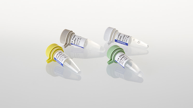 pGEM T Easy Vector System 20 reactions