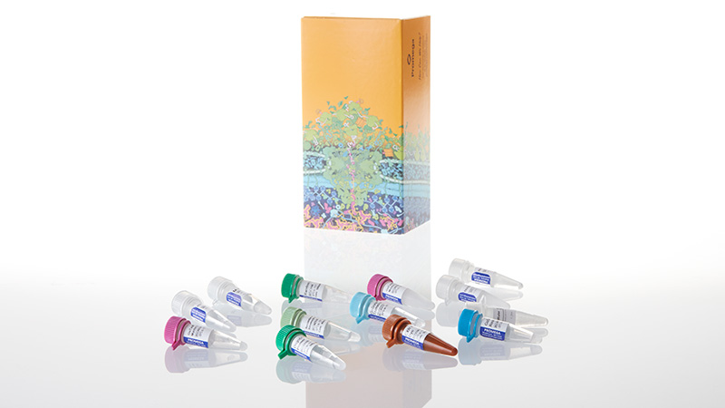 A6110_GoTaq--Probe-2-Step-RT-qPCR-System-2ml_3