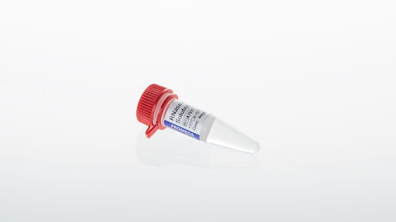 a7973-rnase-a-solution.jpg?rev