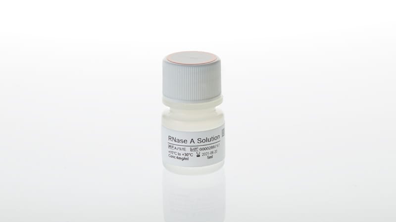 A7974-rnase-a-solution
