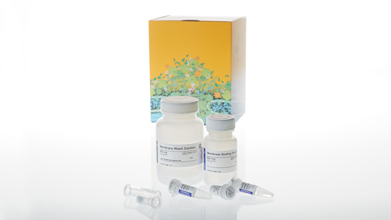 Wizard® SV Gel and PCR Clean-Up System | PCR Purification | PCR