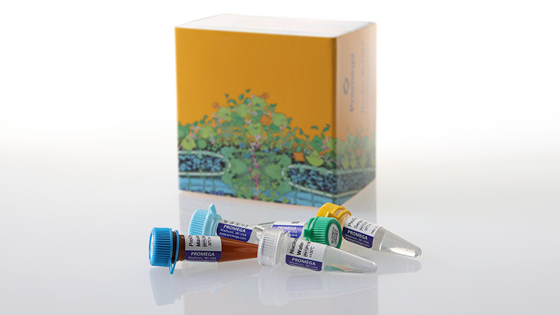 CR4324