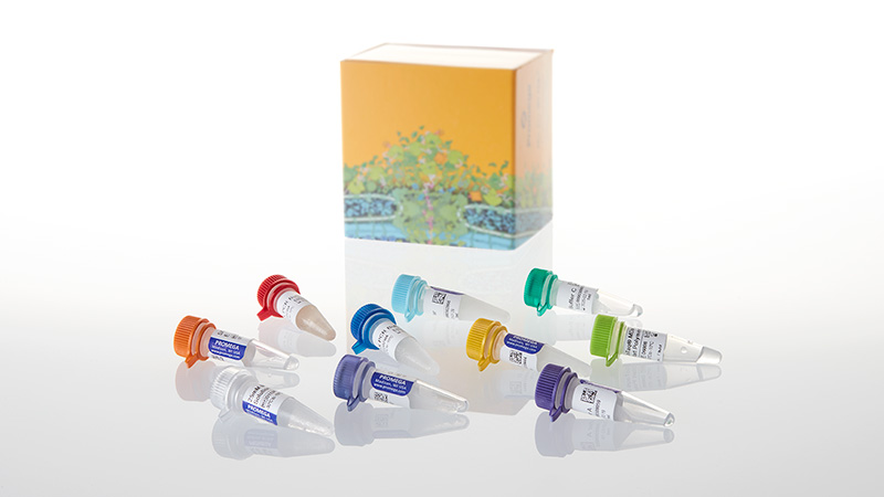 d2381-pcr-optimization-kit
