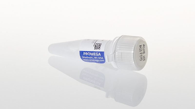 DM2411_Gold-Star-10x-Buffer_3