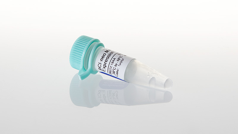 E1841_pCI-neo-Mammalian-Expression-Vector-20ug_3