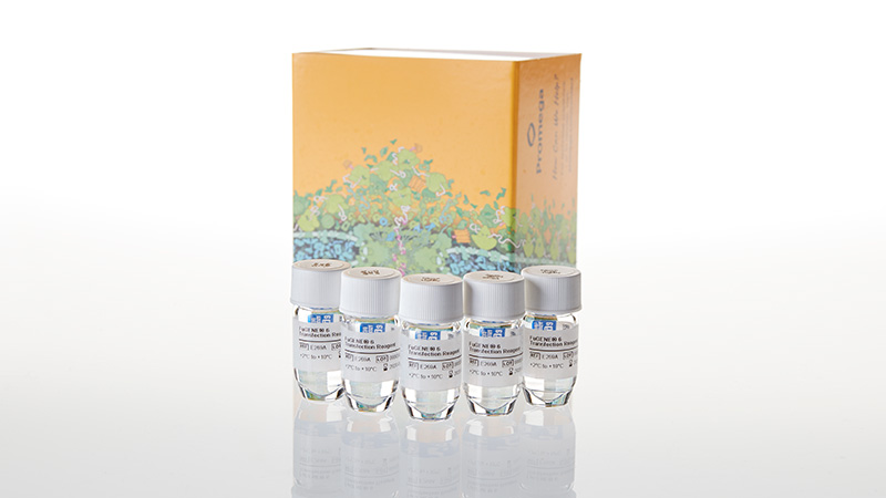 E2692-fugene-6-transfection-reagent