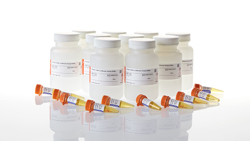 E2750_Renilla-Glo--Luciferase-Assay-System_3