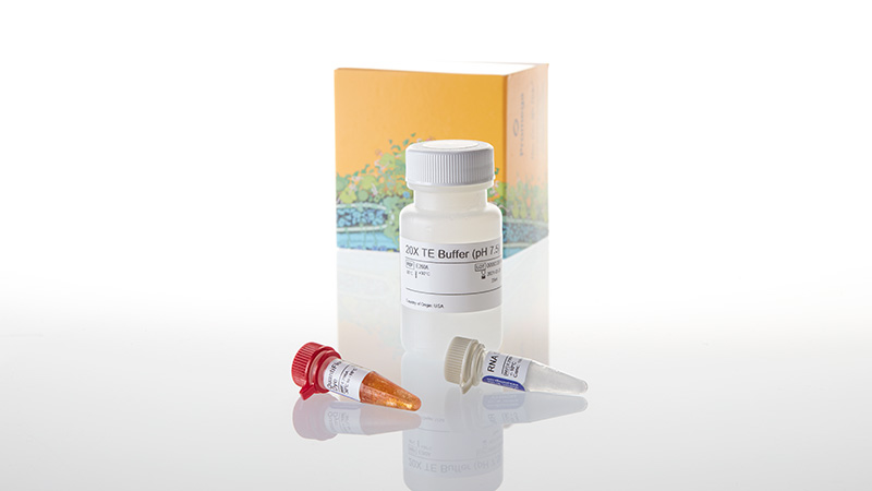 E3310_QuantiFluor--RNA-System_3