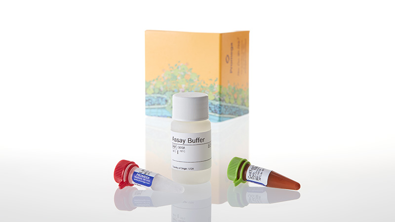 G8741_CellTox--Green-Cytotoxicity-Assay--10-ml_3