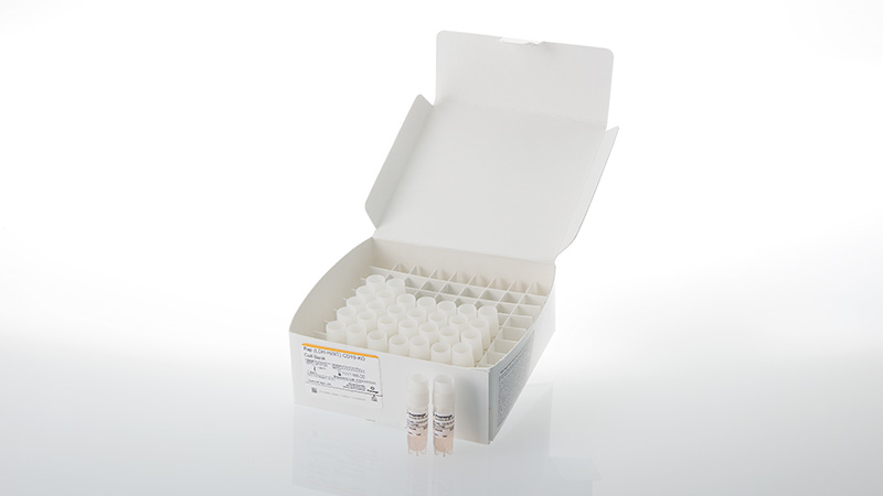 ga6100-raji-ldh-hibit-cd19-ko-cell-bank