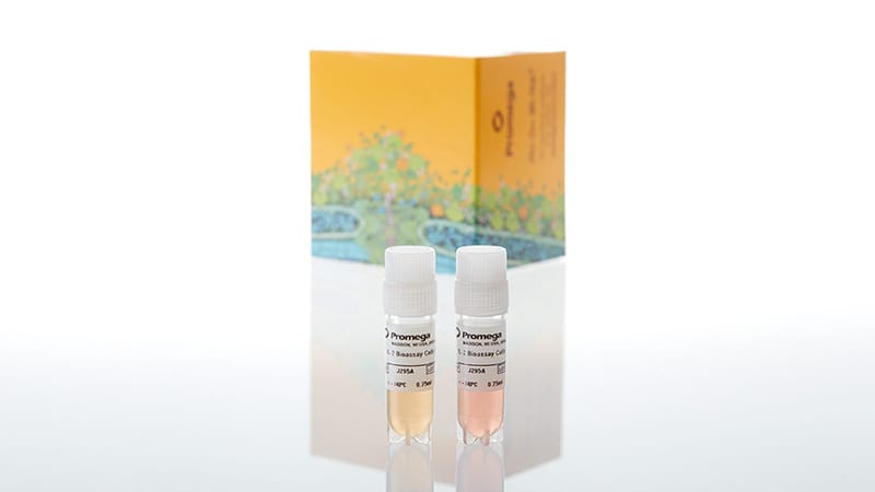 J2952_IL-2-Bioassay--Propagation-Model_3