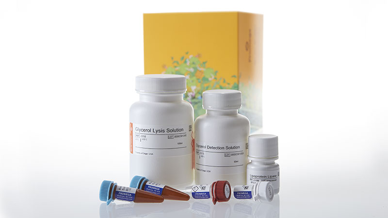 J3161_Triglyceride-Glo--Assay_3