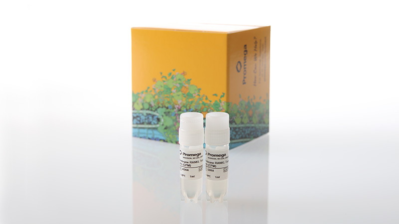 j3362membranerankltargetcellspropagationmodel3