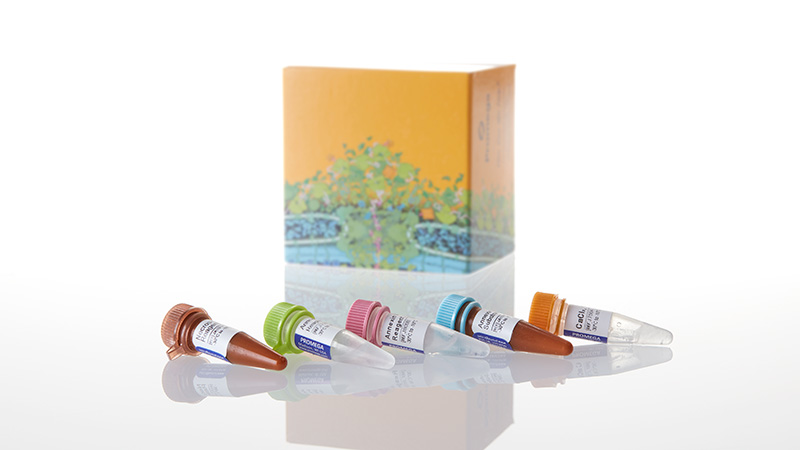 JA1012_RealTime-Glo--Annexin-V-Apo-and-Nec-Asay_3