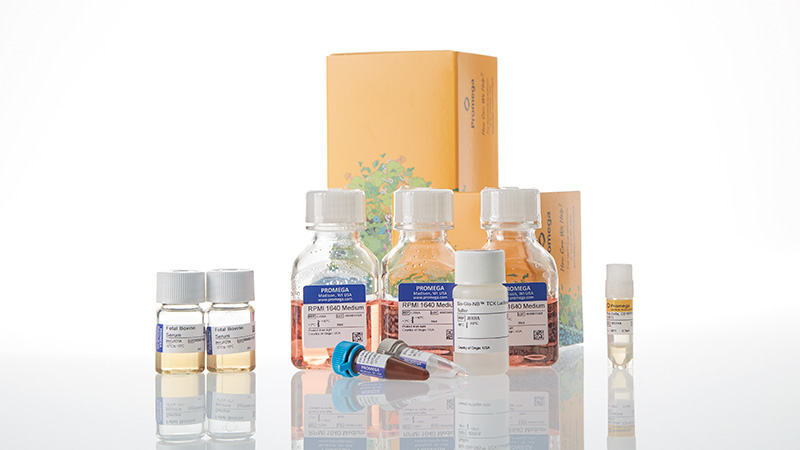 ja1271-raji-ht-hibit-cd19-20-ko-tck-bioassay