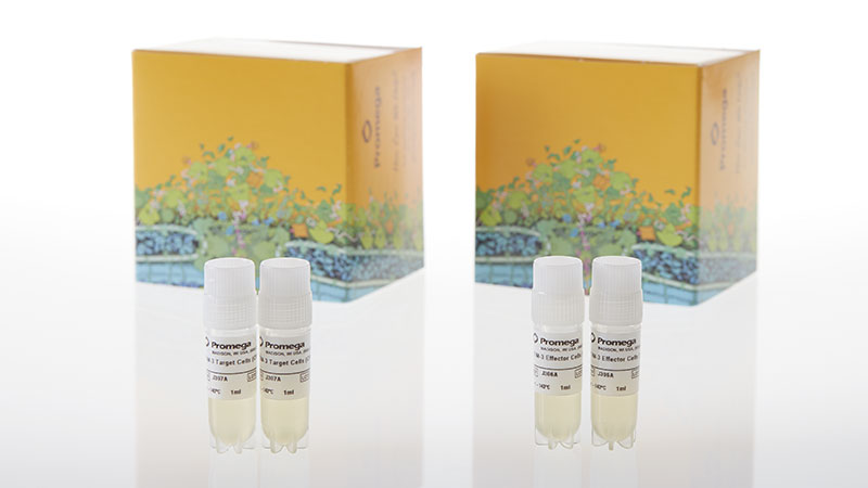 JA2222_TIM-3-Bioassay--Propagation-Model-_3