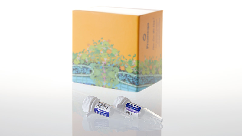 L4561_Luciferase Control RNA_3