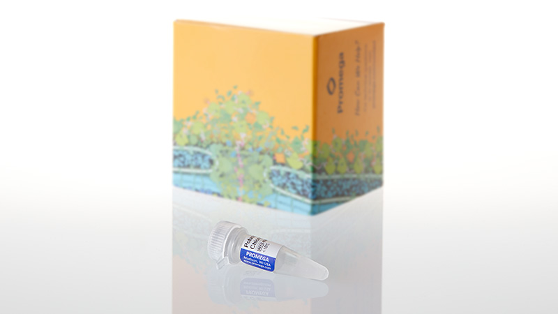 L4591_Potassium Chloride_3