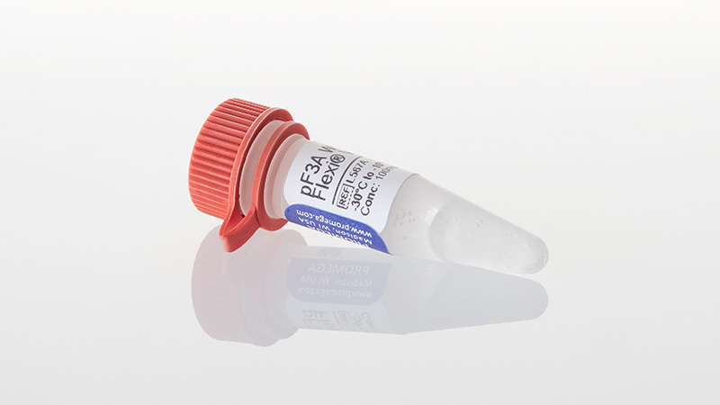 L5671_pF3A-WG--BYDV--Flexi--Vector-20ug_3