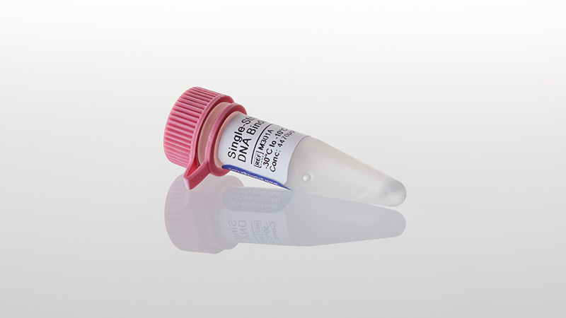 M3011_Single-Stranded-DNA-Binding-Protein--100_3