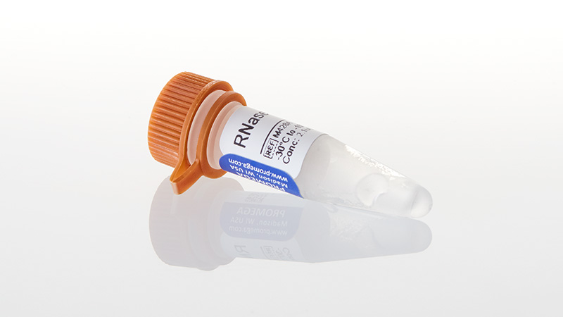 M4281_RNase-H--50u_3