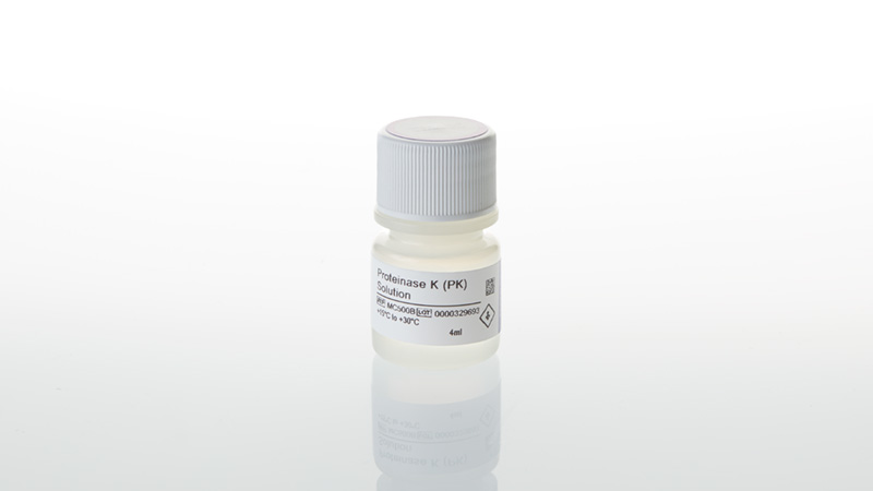 Proteinase K PK Solution 4ml