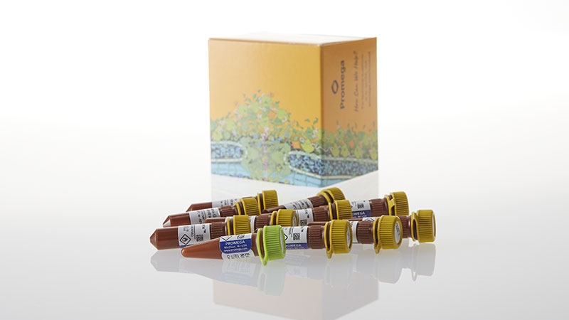 N2200_Intracellular-TE-Nano-Glo--VivazineInhibitor--1-000-Assay_3