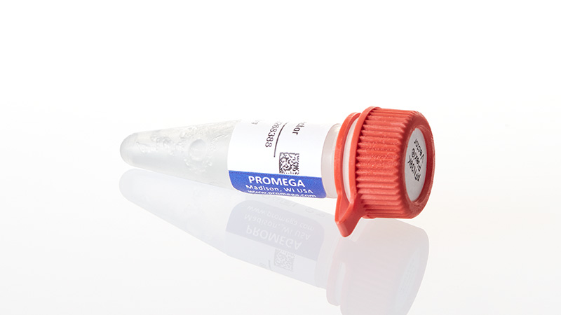 N2411_pFN39K-secHiBiT-CMV-neo-Flexi--Vector_3