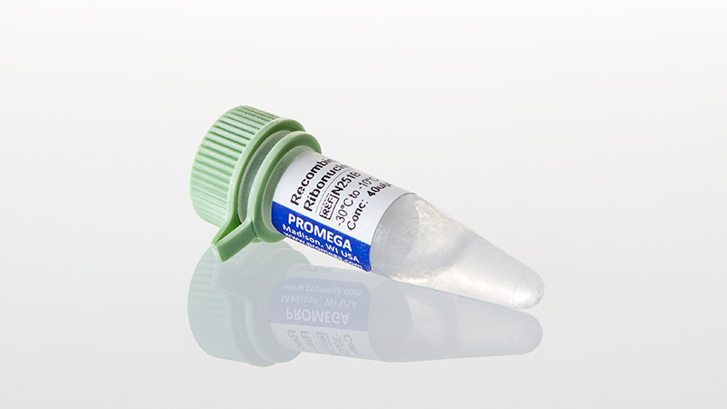 N2515_Rec--RNasin--RNase-Inhibitor--10-000u_3