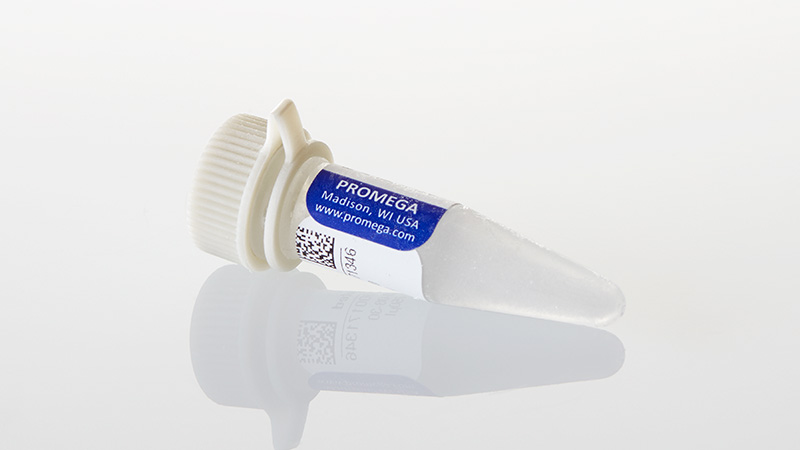 R3961_Bovine-Serum-Albumin--Acetylated--10mg-3am_3