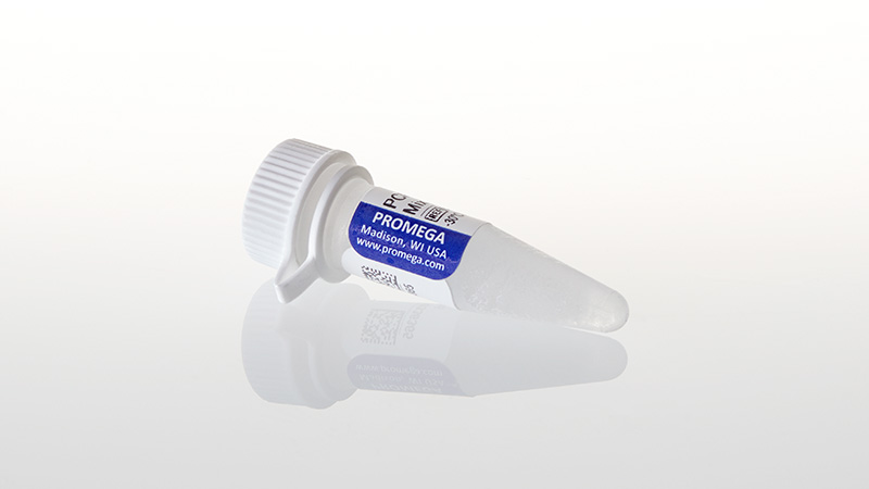 U1432_PCR-Nucleotide-Mix--25mM_3