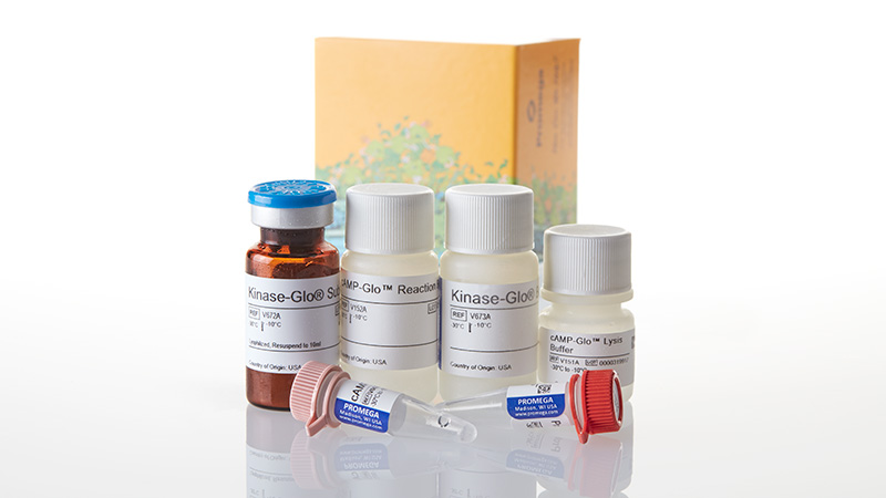 V1501_cAMP-Glo--Assay--300-Assays_3